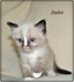 /album/amira/amira-6-hetes-004-jpg/